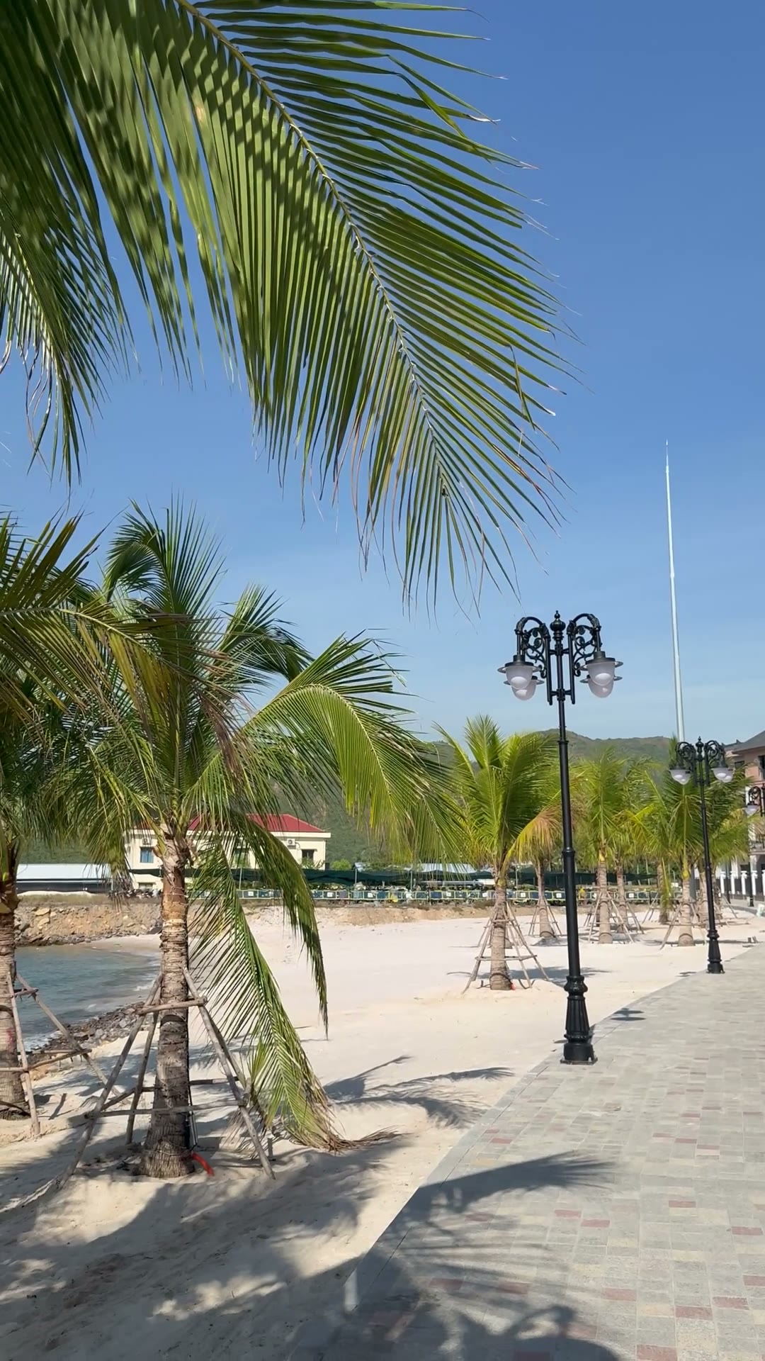 Bãi biển riêng — hàng dừa và đường dạo đã trồng xong