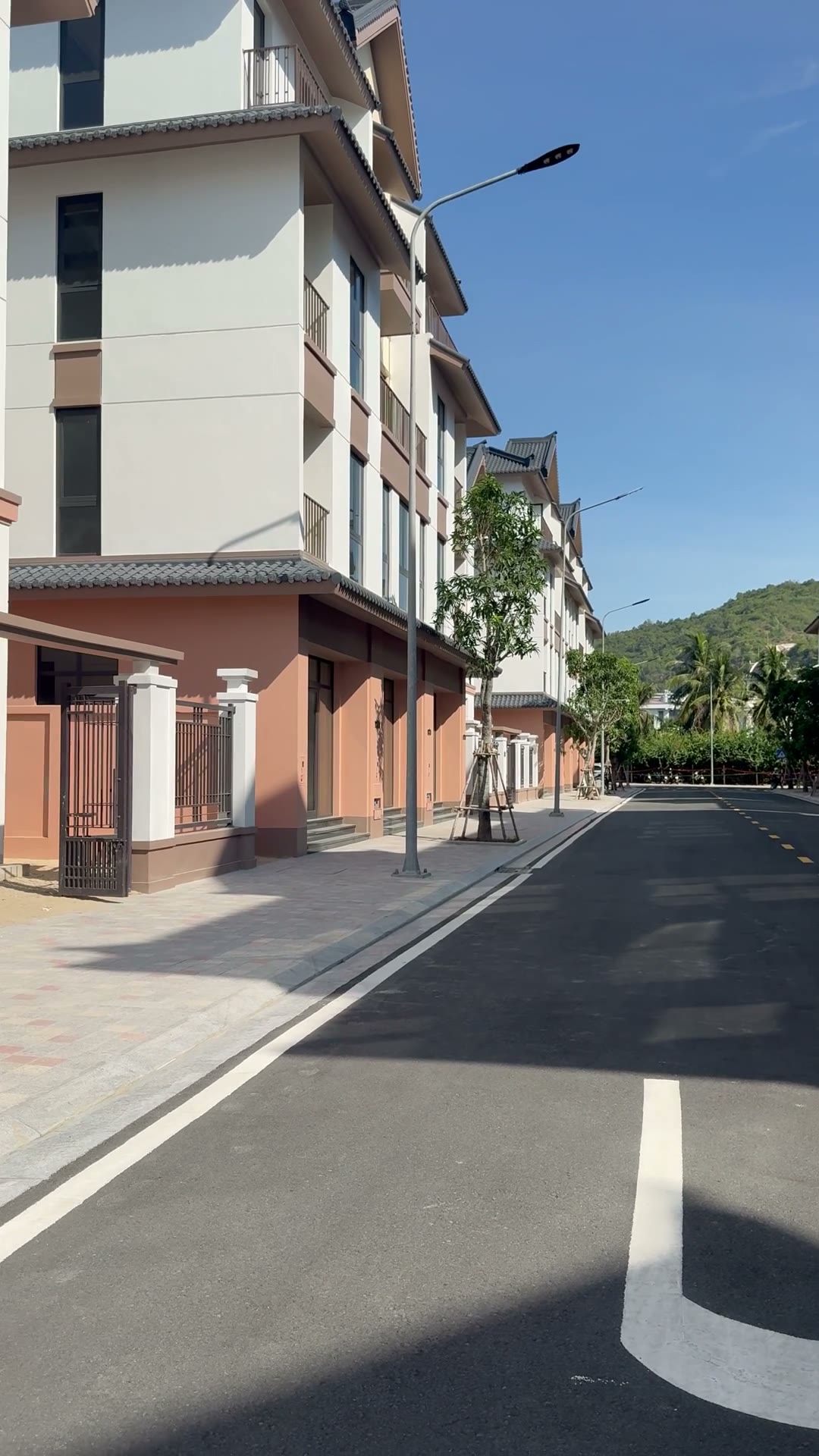 Đường nội khu đã trải nhựa, đèn và cây hoàn thiện